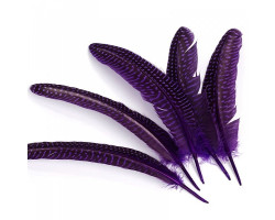 Перо фазана арт.F-150-5 15-20 см цв. фиолетовый