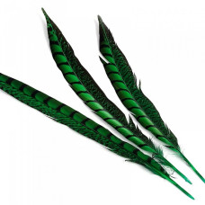 Перо фазана арт.F-300-5 30-35 см цв. зеленый
