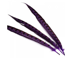 Перо фазана арт.F-300-7 30-35 см цв. фиолетовый