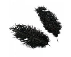 Перо страуса арт.S-150-2 15-20 см цв.черный