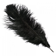 Перо страуса арт.S-300-2 30-35 см цв.черный