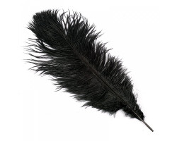 Перо страуса арт.S-300-2 30-35 см цв.черный