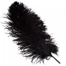 Перо страуса арт.S-400-2 40-45 см цв.черный