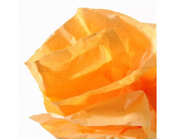 МРМ.200992661 Шелковая бумага цв.оранжевый, 0,5х5м.,20гр