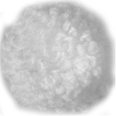 Пряжа для вязания Назар-Рус 751 'Помпон Мини' (100% акрил) уп.100 шт цв.001 белый