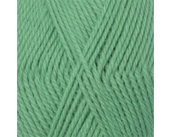 Пряжа для вязания КАМТ 'Аргентинская шерсть' (100% импортная п/т шерсть) 10х100гр/200м цв.025 мята