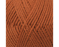 Пряжа для вязания КАМТ 'Аргентинская шерсть' (100% импортная п/т шерсть) 10х100гр/200м цв.051 терракот