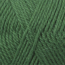 Пряжа для вязания КАМТ 'Аргентинская шерсть' (100% импортная п/т шерсть) 10х100гр/200м цв.110 зеленый