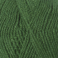 Пряжа для вязания КАМТ 'Бамбино' (шерсть меринос 35%, акрил 65%) 10х50гр/150м цв.110 зеленый