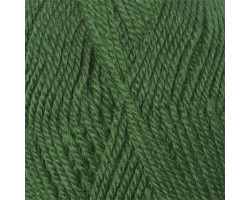 Пряжа для вязания КАМТ 'Бамбино' (шерсть меринос 35%, акрил 65%) 10х50гр/150м цв.110 зеленый
