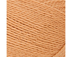 Пряжа для вязания КАМТ 'Премьера' (импортная п/т шерсть 100%) 10х100гр/300м цв.005 бежевый
