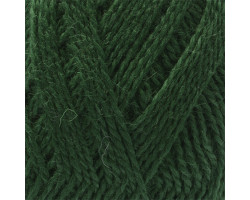 Пряжа для вязания КАМТ 'Премьера' (импортная п/т шерсть 100%) 10х100гр/300м цв.110 зеленый
