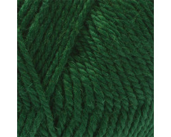 Пряжа для вязания КАМТ 'Пышка' (импортная п/т шерсть 100%) 10х100гр/110м цв.110 зеленый