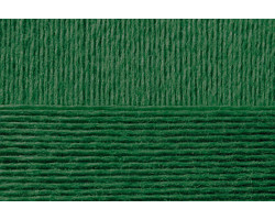 Пряжа для вязания ПЕХ 'Акрил ' (100%акрил) 5х100гр/300м цв.117 киви