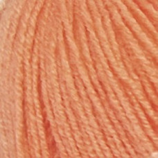 Пряжа для вязания ПЕХ 'Детская Нежность' (25%меринос.шерсть, 25%виск, 45%акрил) 10х50гр/235м цв.079