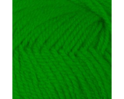 Пряжа для вязания ПЕХ 'Детская Новинка' (100%акрил) 10х50гр/200м цв.480 ярк.зелень