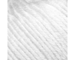 Пряжа для вязания ПЕХ 'Детский каприз' (60%мериносовая шерсть+40% фибра) 10х50гр/225м цв.001 белый
