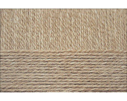 Пряжа для вязания ПЕХ 'Домашняя' (50% шерсть 50% акрил) 10х100гр/200м цв.197 капучино