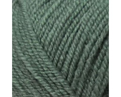 Пряжа для вязания ПЕХ 'Народная' (30%шерсть+70%акрил ) 5х100гр/220м цв.117 киви