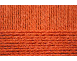 Пряжа для вязания ПЕХ 'Тёплая' (95%шер+5%акр) 10х100гр/150м цв.194 рыжик