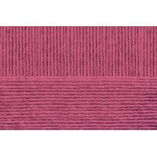 Пряжа для вязания ПЕХ 'Удачный выбор' (100% акрил высокообъёмый) 5х100гр/200м цв.021 брусника