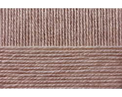 Пряжа для вязания ПЕХ 'Удачный выбор' (100% акрил высокообъёмый) 5х100гр/200м цв.512 св.верба