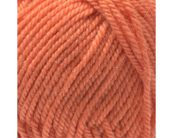 Пряжа для вязания ПЕХ 'Зимний вариант' (95%шерсть+05%акрил) 10х100гр/100м цв.284 оранжевый