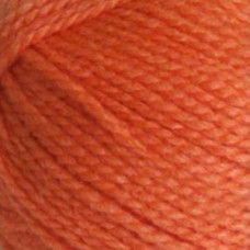 Пряжа для вязания 'Natasha' Наташа ПШ 10х100гр/250м цв. морковный 670