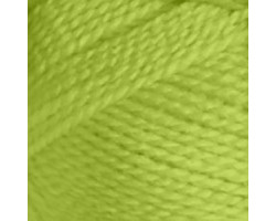 Пряжа для вязания 'Natasha Wool' Наташа ЧШ 10х100гр/250м цв. весенняя зелень 222