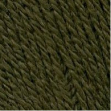 Пряжа для вязания ТРО 'Алиса' (50%шерсть+50%вискоза) 10х100гр/300м цв.0540 оливковый