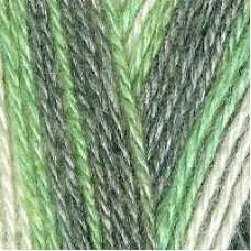 Пряжа для вязания ТРО 'Алиса' (50%шерсть+50%вискоза) 10х100гр/300м цв.4293 секционный