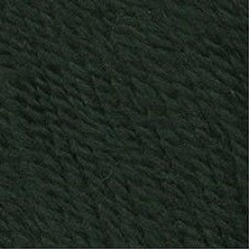 Пряжа для вязания ТРО 'Чистая шерсть' (100%шерсть) 10х100гр/250м цв.0112 зеленый
