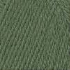 Пряжа для вязания ТРО 'Чистая шерсть' (100%шерсть) 10х100гр/250м цв.0244 омут
