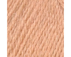 Пряжа для вязания ТРО 'Чистая шерсть' (100%шерсть) 10х100гр/250м цв.0460 само