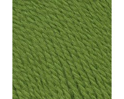 Пряжа для вязания ТРО 'Чистая шерсть' (100%шерсть) 10х100гр/250м цв.1550 аспарагус