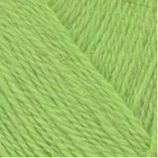 Пряжа для вязания ТРО 'Чистая шерсть' (100%шерсть) 10х100гр/250м цв.3011 салат
