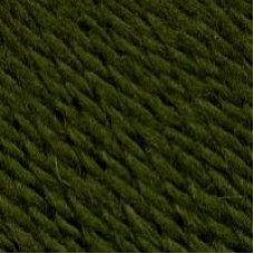 Пряжа для вязания ТРО 'Морозко' (100%шерсть) 10х100гр/200м цв.1231 кактус