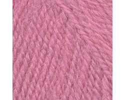 Пряжа для вязания ТРО 'Морозко' (100%шерсть) 10х100гр/200м цв.3581 миндальный