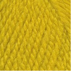 Пряжа для вязания ТРО 'Новинка' (82%шерсть+18%акрил) 10х100гр/120м цв.0596 желтый