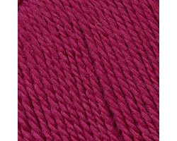 Пряжа для вязания ТРО 'Новозеландская' (100%шерсть) 10х100гр/250м цв.0351 брусника