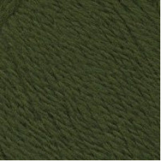 Пряжа для вязания ТРО 'Новозеландская' (100%шерсть) 10х100гр/250м цв.1380 морские волоросли