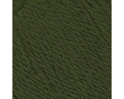 Пряжа для вязания ТРО 'Новозеландская' (100%шерсть) 10х100гр/250м цв.1380 морские волоросли