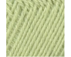 Пряжа для вязания ТРО 'Новозеландская' (100%шерсть) 10х100гр/250м цв.2330 бледный салат