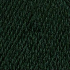 Пряжа для вязания ТРО 'Подмосковная' (50%шерсть+50%акрил) 10х100гр/250м цв.0112 зеленый