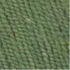 Пряжа для вязания ТРО 'Простая' (50%шерсть+50%акрил) 10х100гр/200м цв.1775 меланж (зеленое яблоко)