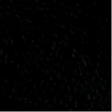 Пряжа для вязания ТРО 'Верблюжка' (100%шерсть) 10х100гр/200м цв.0140 черный
