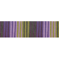 Пряжа для вязания Ализе Cashmira Missisipi (100% шерсть) 5х100гр/300м цв.3966