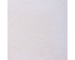 Пряжа для вязания Назар-Рус 780 'Бэмби' (100% микрополиэстер) 10х50г/142м цв.2501 белый