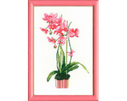 Набор для вышивания арт.СС-1162 'Розовая орхидея' 21x30 см