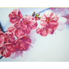 Набор для вышивания 'РИСУЕМ ИГЛОЙ' арт. N0012. Люкс. 'Краски весны' (45х35 см)